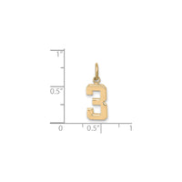 Varsity Number 3 Pendant (14K) scale - Popular Jewelry - New York