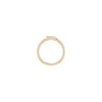 Initial Z Ring (Rose 14K) setting - Popular Jewelry - New York