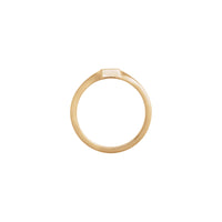 Vertical Rectangular Signet Ring