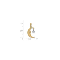 Crescent Moon with Dangling Star Pendant (14K)