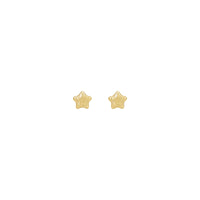 Protruding Star Stud Earrings