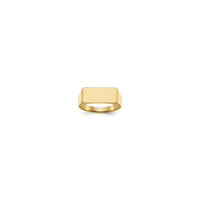 Rectangle Signet Ring (14K)