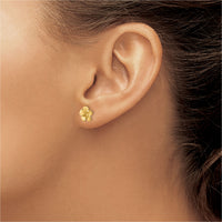 Satin Plumeria Flower Stud Earrings (14K)