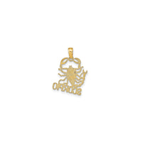 Scorpio Zodiac Sign Symbol Pendant (14K)