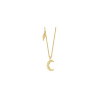 Star & Crescent Moon Necklace