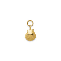 Textured Baby Seashell Pendant (14K)