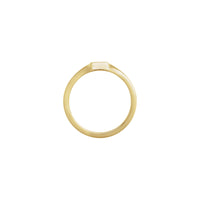Vertical Rectangular Signet Ring