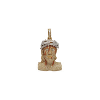 Diamond Blood of Jesus Pendant (14K)