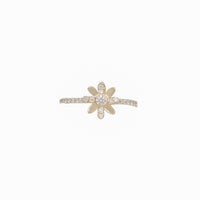 Zirconia Fancy Ring (14K)
