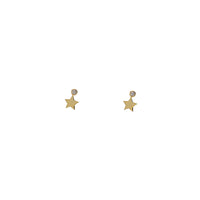 Star Diamond Earring (14K)
