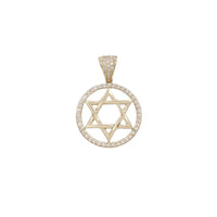 Zirconia Star of David Medallion Pendant (14K)