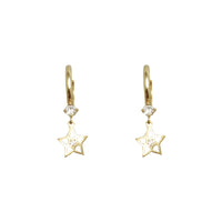 Fancy Star Huggie Earrings (14K)