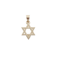 Star Of David Pendant (14K)