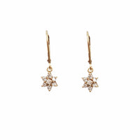 Diamond Flower Dangling Earrings (14K)