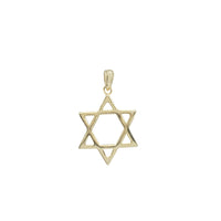 Plain Star Of David Pendant (Yellow Silver)