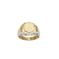 Two Tone Hexagon Signet Ring (14K)