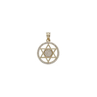 Iced-Out Zirconia Star of David Pendant (14K)