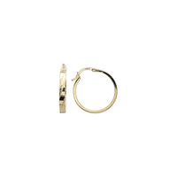 Round Shape Flat Top Earrings (14K)
