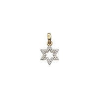 Pave Diamond Star Of David Pendant (14K)