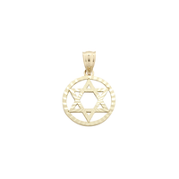 Diamond Cut Star of David Medallion Pendant (14K)