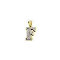 Two-Tone Double-Layered Textured Initial Pendant (14K)
