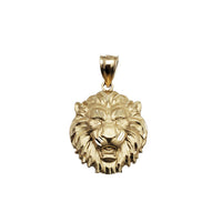 Lion Head Pendant (14K)
