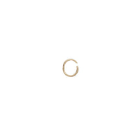 Nose Ring (14K)