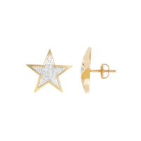 Diamond Concave Star Screw Earring (14K)