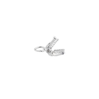 Teeth Charm Pendant (Silver)