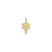 Nurse Cap Caduceus Pendant (14K) back - Popular Jewelry - New York