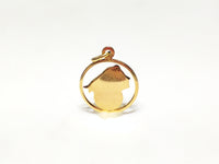 In the center: a framed profile of a blindfolded Lady Justice medallion style pendant in 14 karat yellow gold standing up with back facing viewer made by Popular Jewelry in New York City