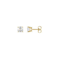 Asscher Cut Diamond Solitaire (1/2 CTW) Friction Back Stud Earrings (14K)