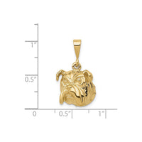 Bulldog Head Pendant (14K) scale - Popular Jewelry - New York