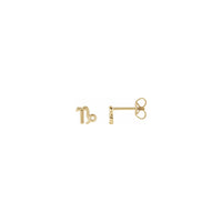 Capricorn Zodiac Sign Stud Earrings (14k) main - Popular Jewelry - New York