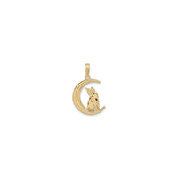 Cat Sitting on the Moon Pendant (14K) front - Popular Jewelry - New York