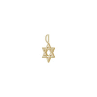 Intertwined Star of David Pendant (14K) diagonal - Popular Jewelry - New York