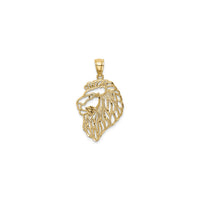 Lion Head Profile Cut-Out Pendant (14K) front - Popular Jewelry - New York