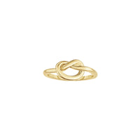 Shiny Love Knot Ring (14K) main - Popular Jewelry - New York