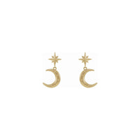 Starry Crescent Moon Dangle Earrings (14K) front - Popular Jewelry - New York