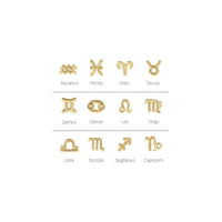 Zodiac Sign Stud Earrings (14k) main - Popular Jewelry - New York