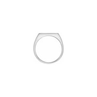 Brush Finish Slim Rectangle Signet Ring white (14K) setting - Popular Jewelry - New York