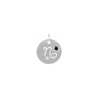 Capricorn Blue Sapphire Zodiac Disc Pendant white (14K) front - Popular Jewelry - New York