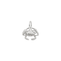 Crab Accent Charm white (14K) main - Popular Jewelry - New York
