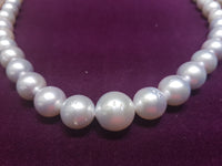 Southsea Pearl Necklace (11-16 mm) - Lucky Diamond 恆福珠寶金行 New York City 169 Canal Street 10013 Jewelry store Playboi Charlie Chinatown @luckydiamondny 2124311180