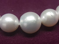 Southsea Pearl Necklace (11-16 mm) - Lucky Diamond 恆福珠寶金行 New York City 169 Canal Street 10013 Jewelry store Playboi Charlie Chinatown @luckydiamondny 2124311180
