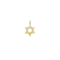 Star of David Pendant (10K)