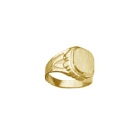 Brushed Finish Texture Men's Signet Ring (14K)