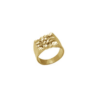 Textured Diamond Cut Nugget Ring (10K)