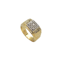 Diamond Two-Tone Men's Ring (14K)