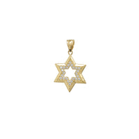 Zirconia Star of David Pendant (14K)